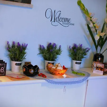 Apartment Amalia House *