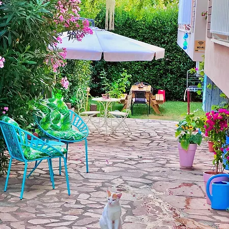 Апартаменты Amalia House