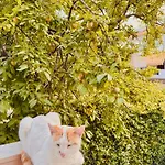 아파트 Amalia House Nea Kallikrateia
