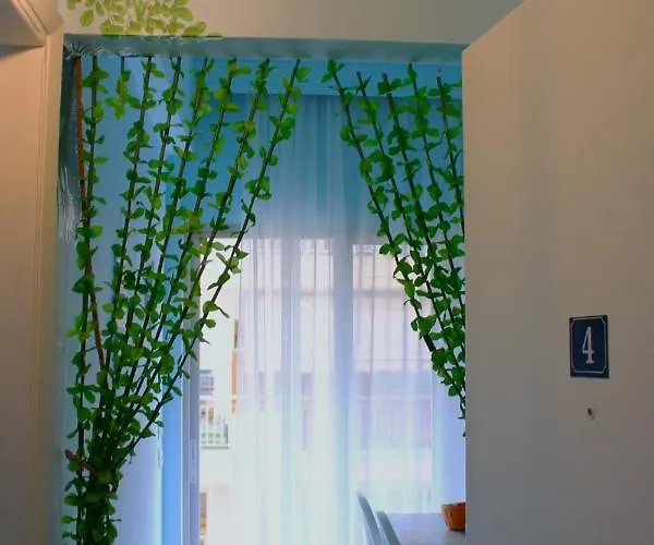 Amalia House *